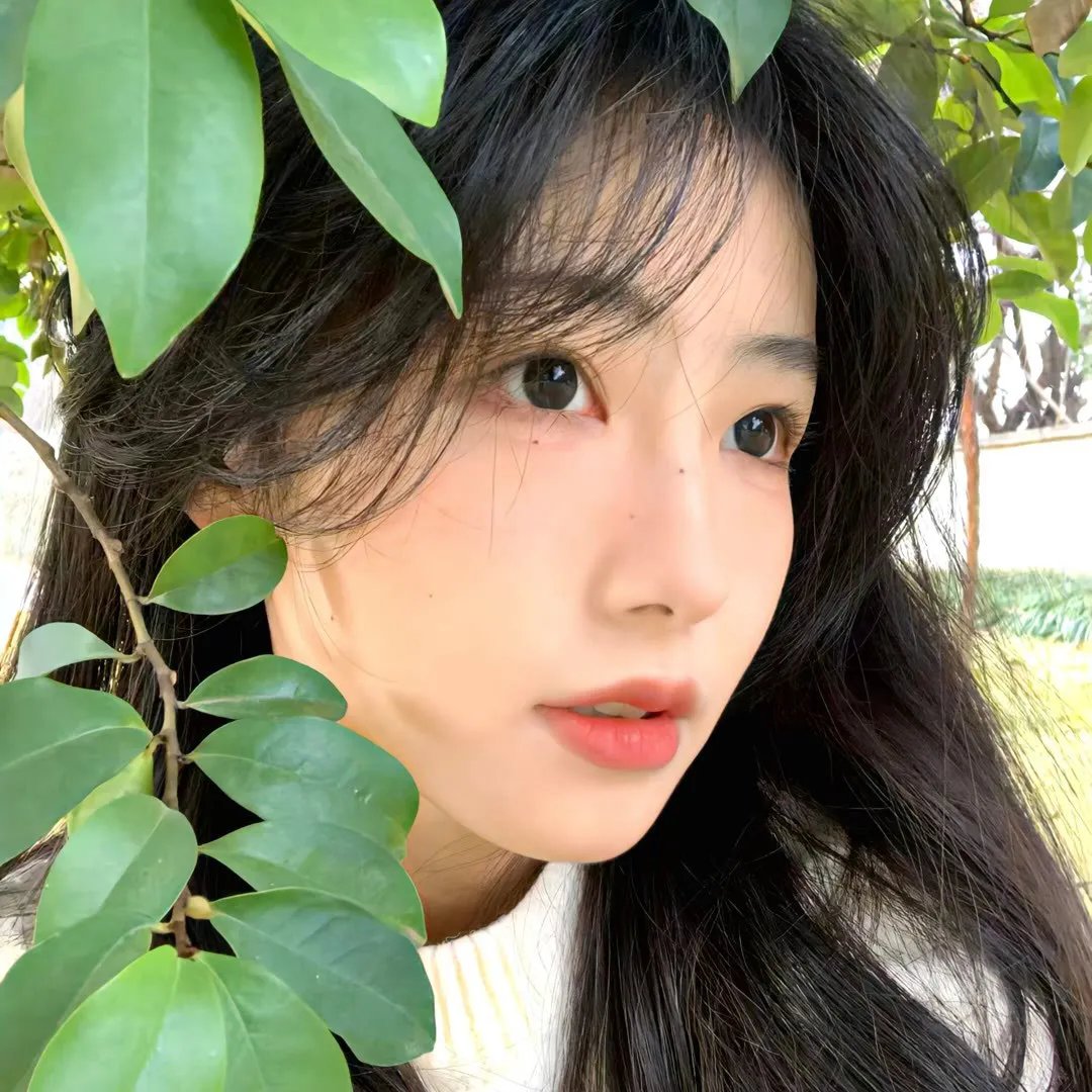 咒怨