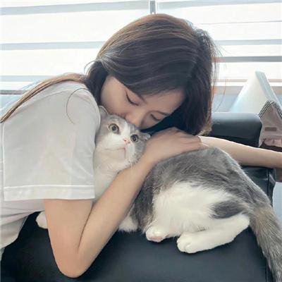 法网追凶第二季